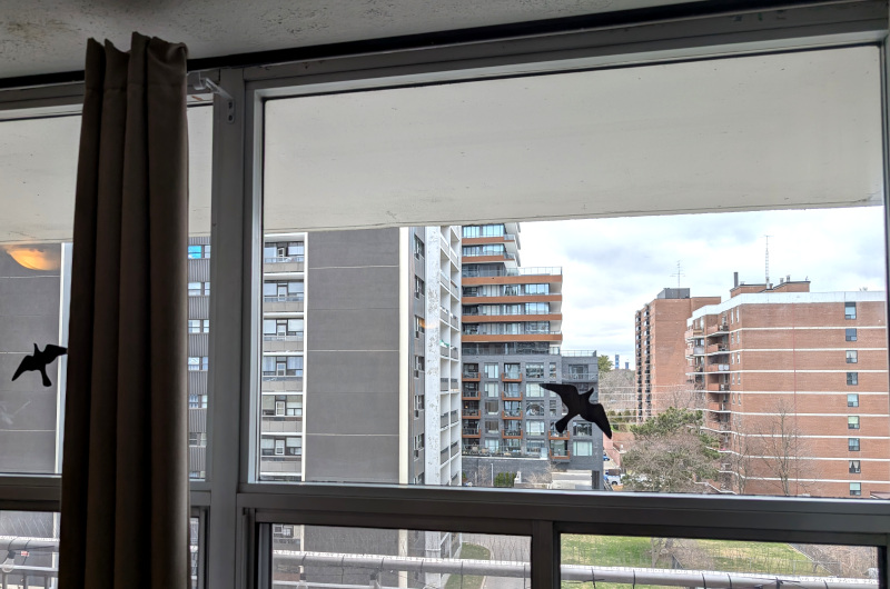 Clear balcony windows, inside and out